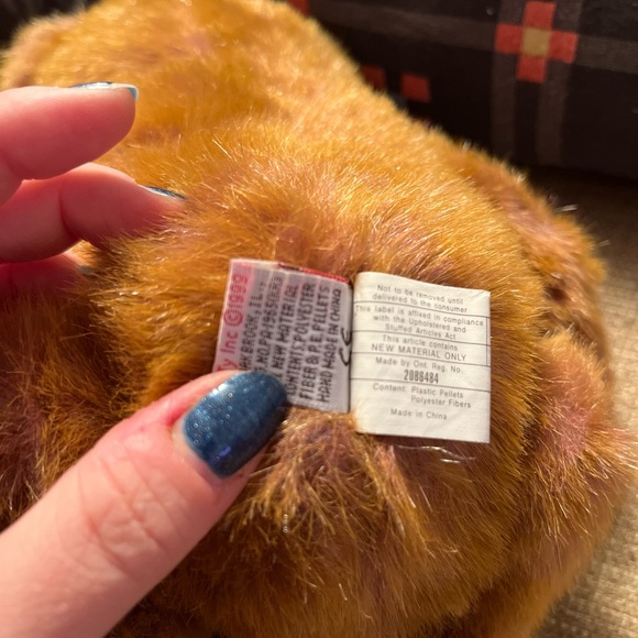 Taffybeary - Beanie Buddy - Picture 4 of 5